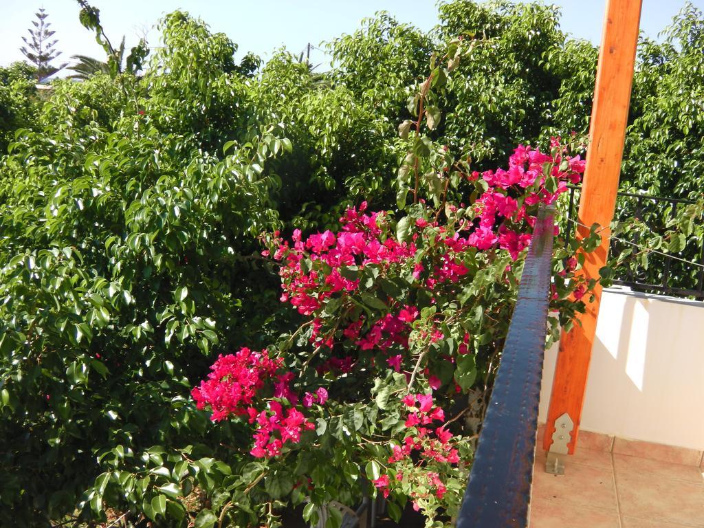 Serenity Hideaway Palaiochora Phòng bức ảnh