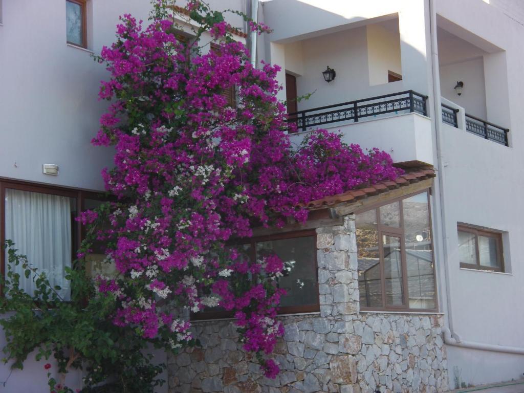 Serenity Hideaway Palaiochora Phòng bức ảnh